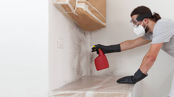 Professional Mold Testing technician working in Harrisburg, OR