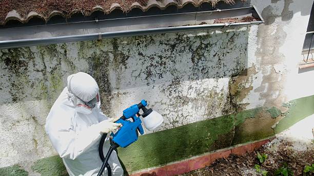 Trusted Mold Testing service in Harrisburg, OR - Cheap Mold Removal